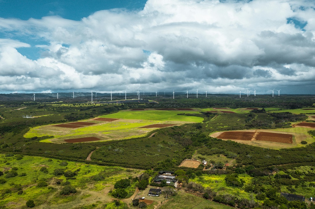 wind turbine service